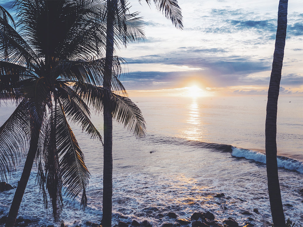 6 night Surf School - Las Flores El Salvador